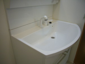 シャワータイプの洗面化粧台